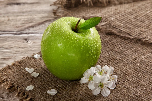 Manzanas verdes con hojas y flores — Foto de Stock