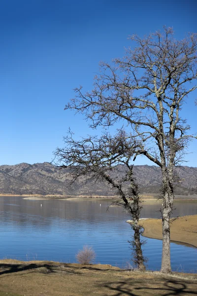 Paisagem de primavera com céu azul brilhante — Fotografia de Stock