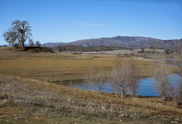 Riva del lago — Foto Stock