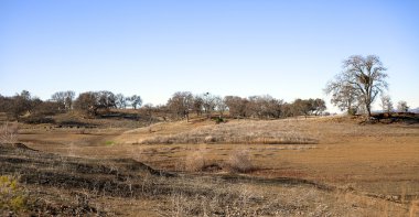 parlak mavi gökyüzü ile peyzaj