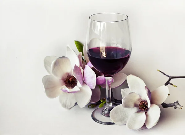 Romantic background with magnolia flowers — Stock Photo, Image