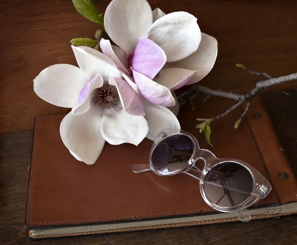 Sfondo romantico con fiori magnolia — Foto Stock