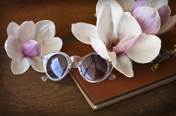 Romantisk bakgrund med magnolia blommor — Stockfoto