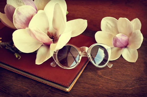 Latar belakang romantis dengan bunga Magnolia — Stok Foto