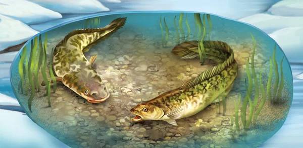 Fisk illustration — Stockfoto