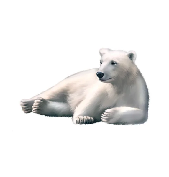 Urso polar em repouso — Fotografia de Stock