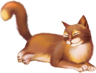Genç kırmızı kahverengi kedi