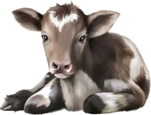 Newborn Calf — Stock Vector