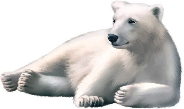 Oso polar en reposo — Archivo Imágenes Vectoriales