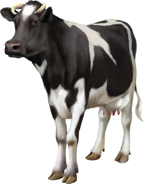 Αγελάδα στέκεται — Διανυσματικό Αρχείο