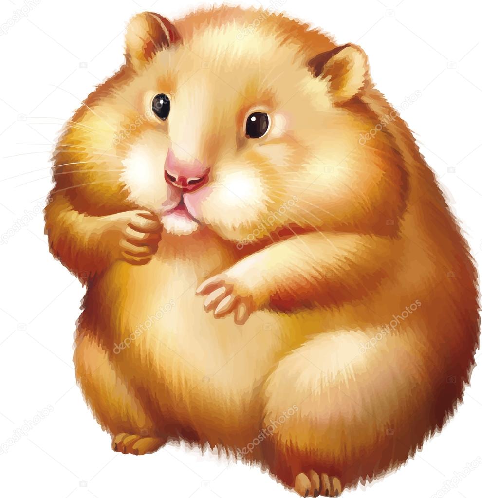 Cute red Hamster sitting