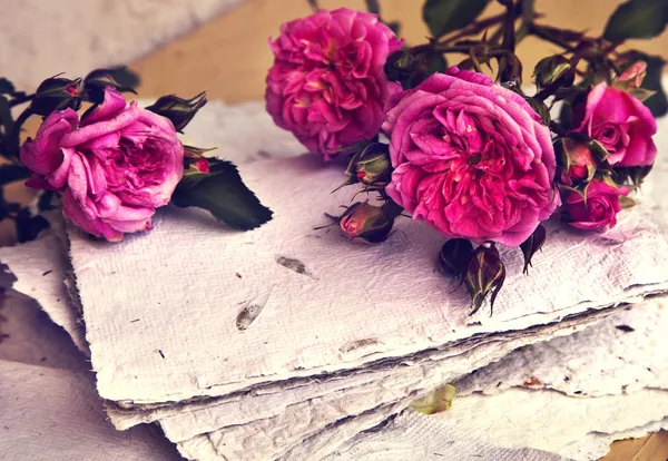 Рожеві троянди, пелюстки і папір ручної роботи — стокове фото
