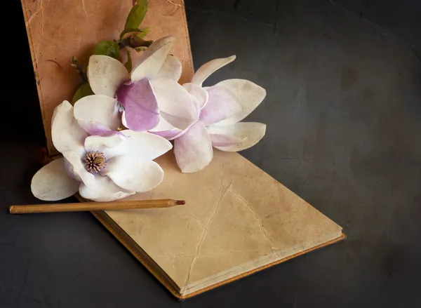 Magnolia com álbum e lápis — Fotografia de Stock