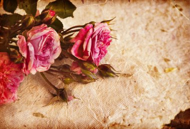 pembe Gül, yaprakları ve el yapımı kağıt