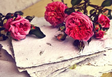 pembe Gül, yaprakları ve el yapımı kağıt