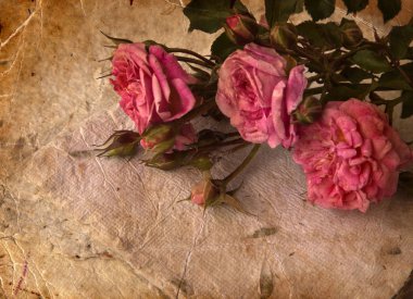 pembe Gül, yaprakları ve el yapımı kağıt