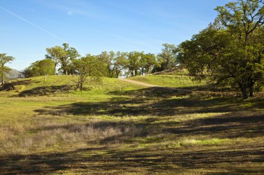 Bahar doğa arka plan