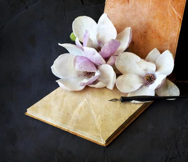 Magnolia com álbum e caneta-tinteiro — Fotografia de Stock