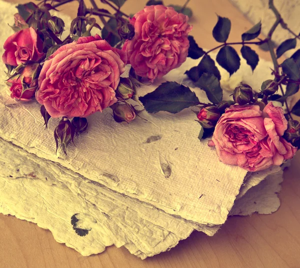 Roses and handmade paper — Stock Photo, Image