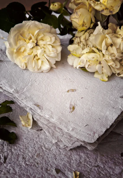 Yellow roses, petals and handmade paper — Stock Photo, Image