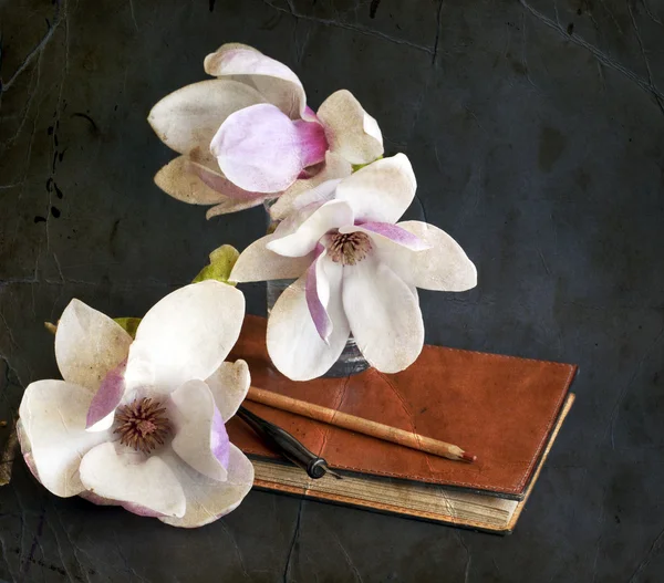 Magnolia  with album and fountain pen — Stock Photo, Image
