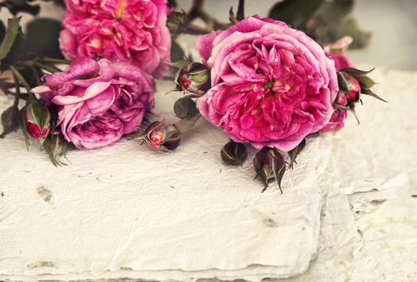 Rosas rosadas, pétalos y papel hecho a mano — Foto de Stock