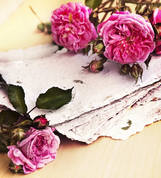 Rosa Rosen, Blütenblätter und Büttenpapier — Stockfoto