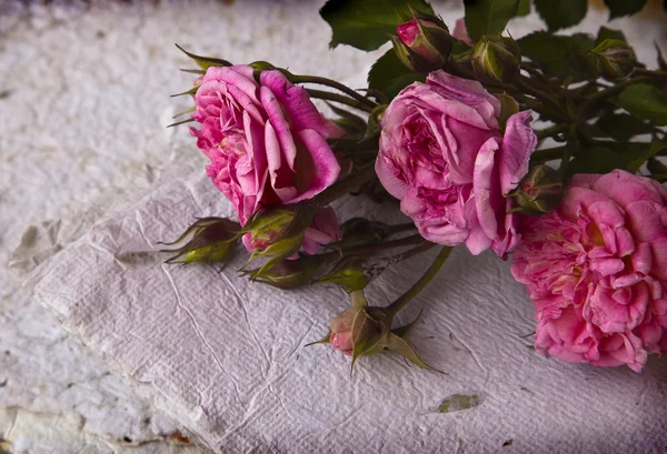 Roses roses, pétales et papier fait main — Photo