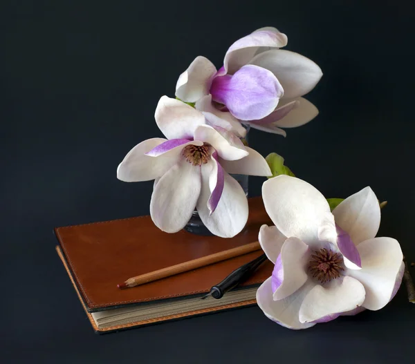 Magnolia avec album et stylo plume — Photo