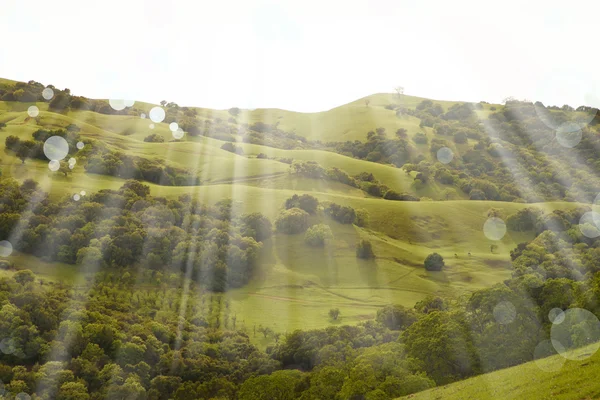 Paisagem verão — Fotografia de Stock