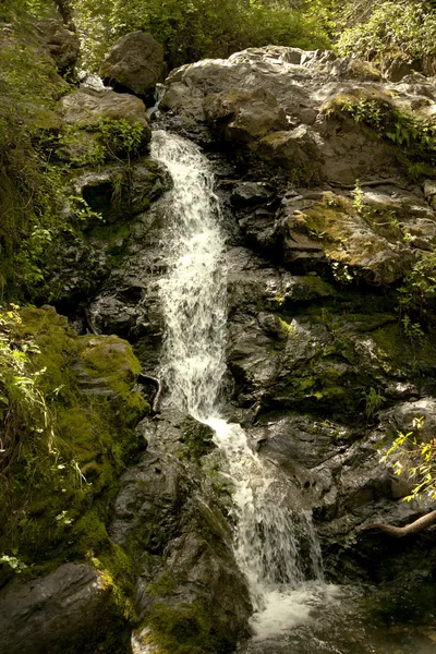 Bergbeek stroomt naar beneden uit de bergen. — Stockfoto