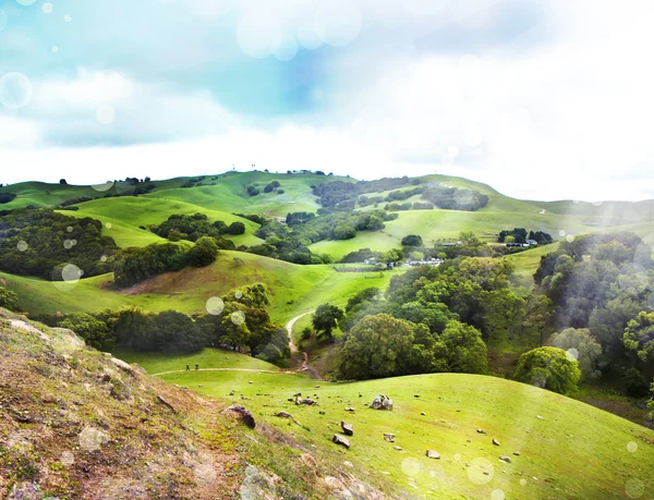 Sommerlandschaft — Stockfoto