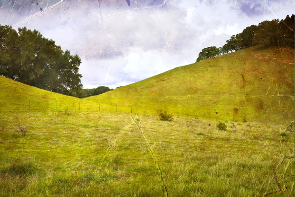 Zomer landschap — Stockfoto