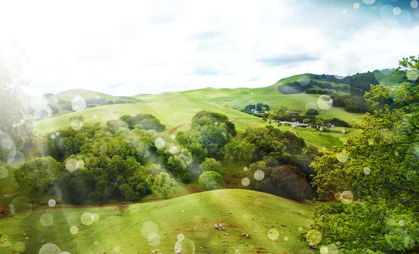 Zomer landschap — Stockfoto