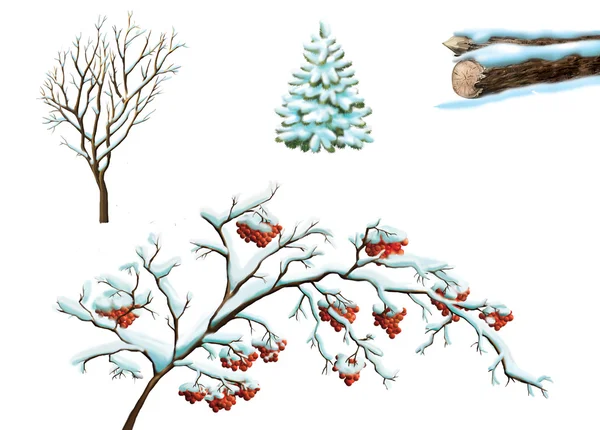 Téli fák — Stock Fotó