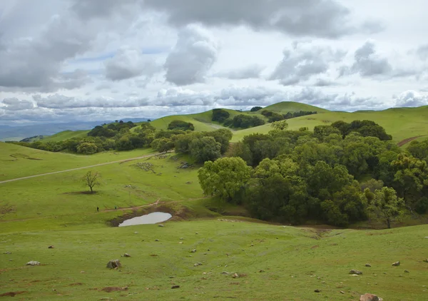 Paisagem verão — Fotografia de Stock