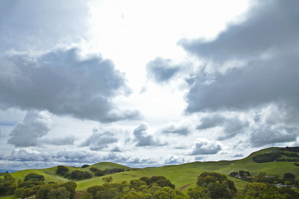 Летний пейзаж