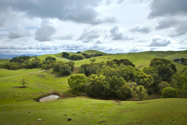 Sommerlandschaft — Stockfoto