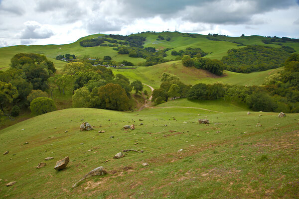 Летний пейзаж