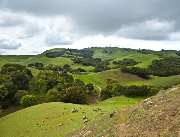 Summer landscape — Stock Photo, Image