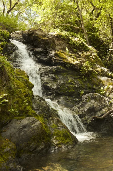 Il torrente di montagna scende dalle montagne . — Foto Stock