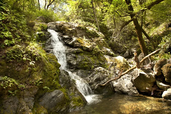 Mountain stream flows down from the mountains. — Stock Photo, Image