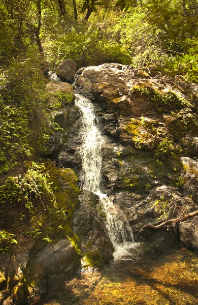 Mountain stream flows down from the mountains. — Stock Photo, Image
