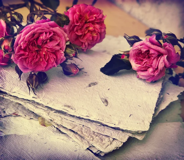 Rosa Rosen, Blütenblätter und Büttenpapier — Stockfoto