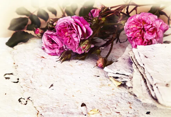 Rosas rosadas, pétalos y papel hecho a mano — Foto de Stock