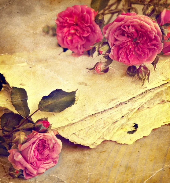 Pink roses, petals and handmade paper — Stock Photo, Image