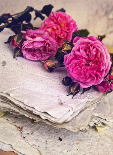 Rosas cor-de-rosa, pétalas e papel artesanal — Fotografia de Stock