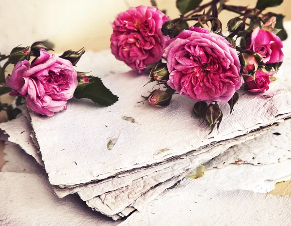 Roze rozen, bloemblaadjes en handgeschept papier — Stockfoto