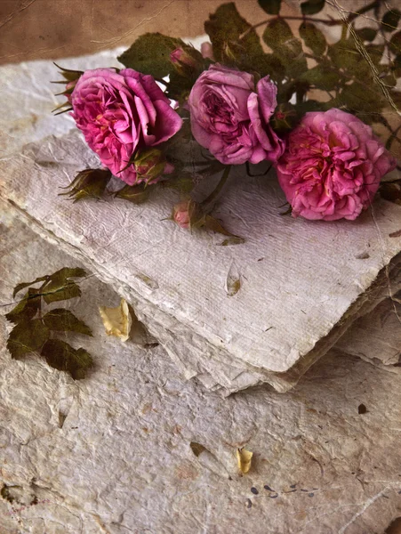 Roses roses, pétales et papier fait main — Photo