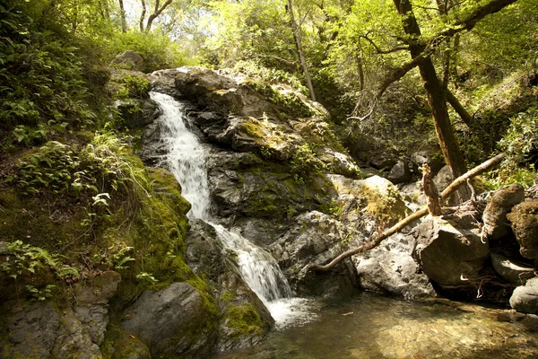 Mountain stream flows down from the mountains — Stock Photo, Image